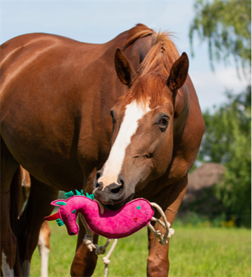 QHP Horse Toy ''Unicorn'' 